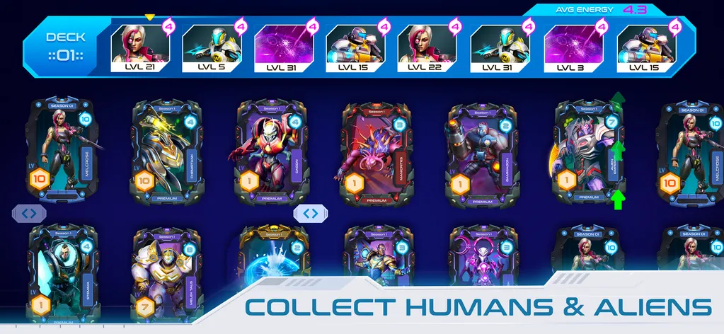 Main image description